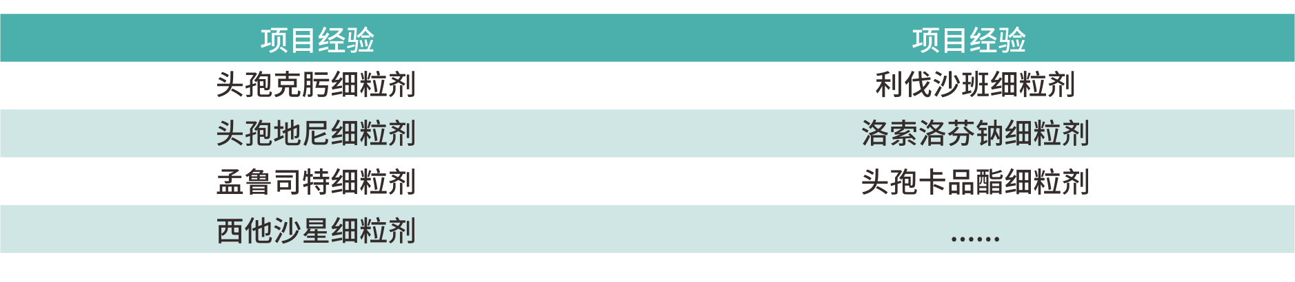 1705895324628857e3Yi.png 細(xì)粒掩味-項目經(jīng)驗.png